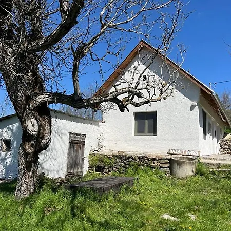 Bazalt Tigris Vendeghaz *