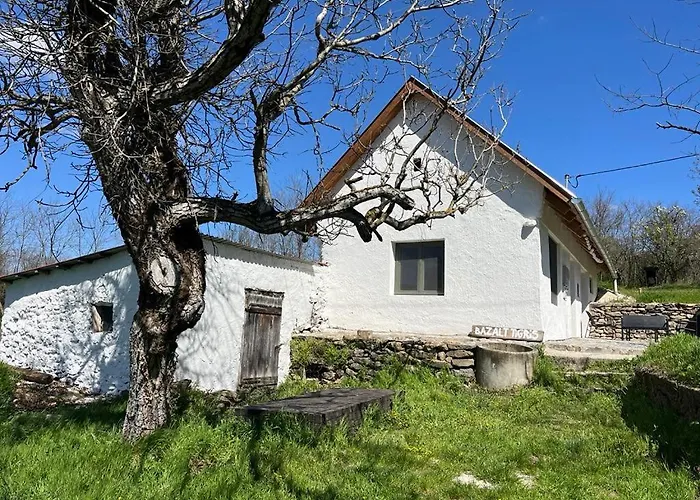 Bazalt Tigris Vendeghaz *